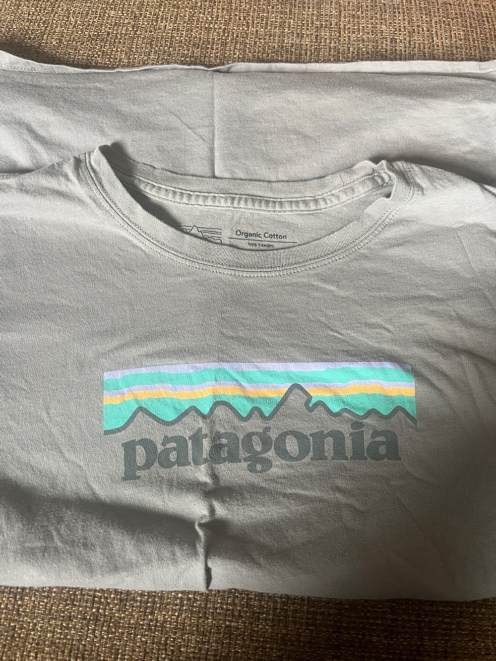 Patagonia Short Sleeve Tee in Light Gray with Teal, Yellow & Lavender Graphic